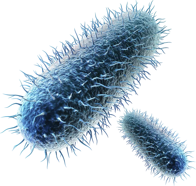 Control y prevención de Legionella en Córdoba - Control de Plagas Córdoba