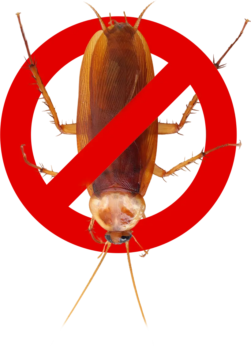 Símbolo de control de cucarachas con señal de prohibición