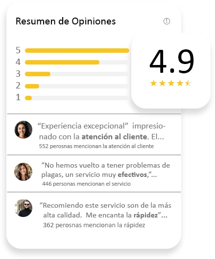 Control de Plagas Córdoba | Plagas Córdoba - Control de Plagas Málaga