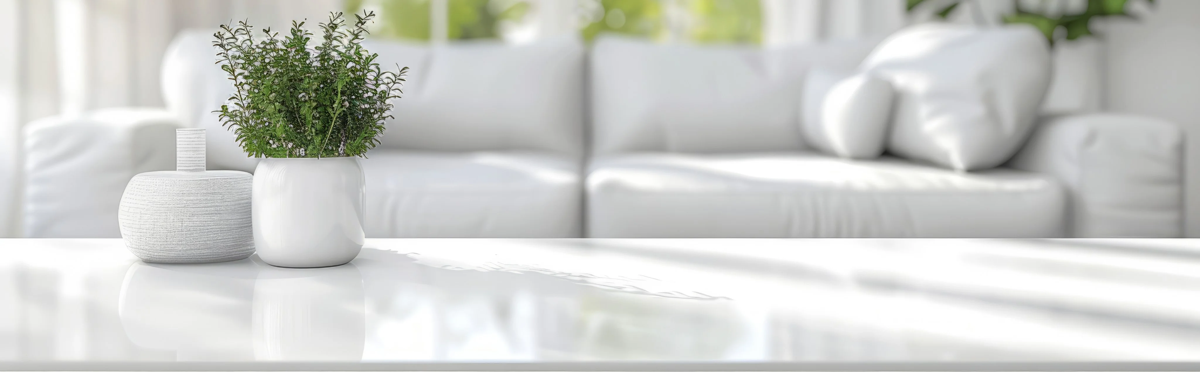 Control de Plagas Córdoba | Plagas Córdoba - Control de Plagas Málaga