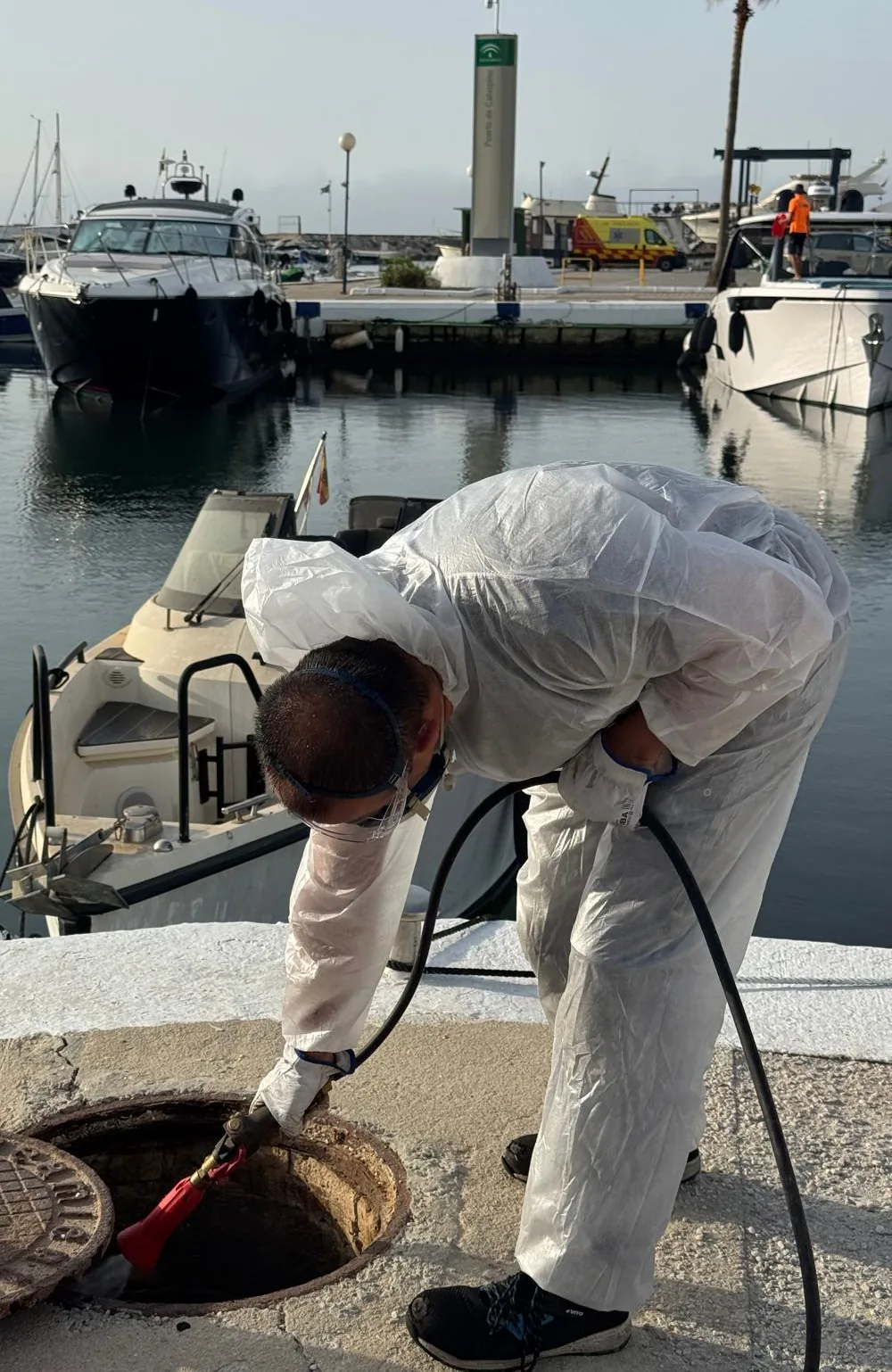 Técnico de Bioadal trabajando en un puerto, zona habitual de gaviotas y palomas